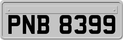 PNB8399