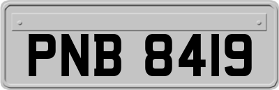 PNB8419