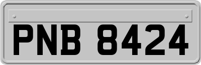 PNB8424