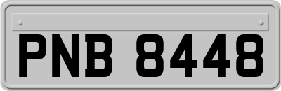 PNB8448