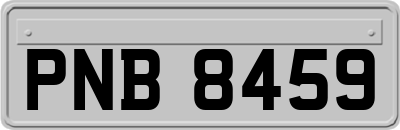 PNB8459