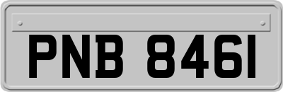 PNB8461