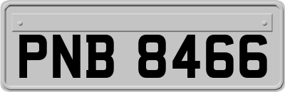 PNB8466