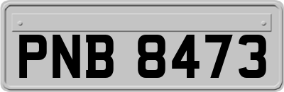 PNB8473