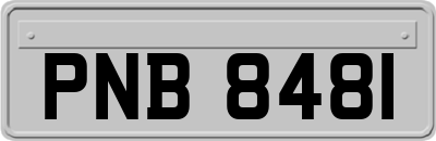 PNB8481