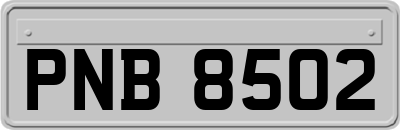 PNB8502