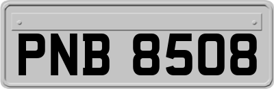 PNB8508