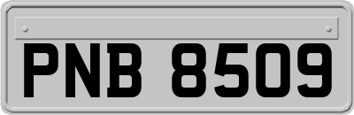 PNB8509