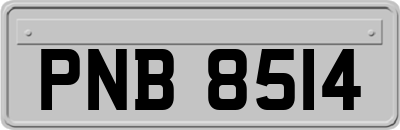 PNB8514