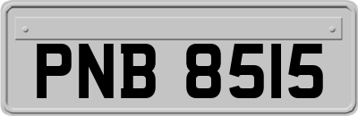 PNB8515