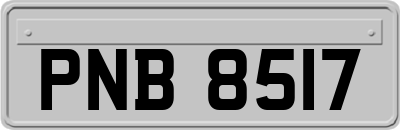 PNB8517