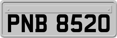 PNB8520