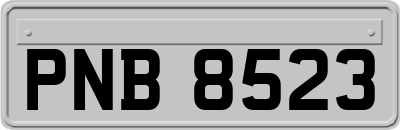 PNB8523