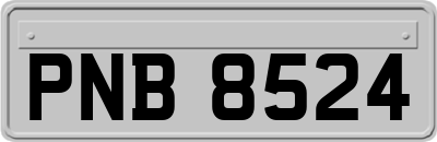 PNB8524