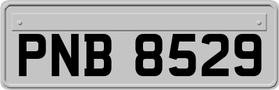 PNB8529