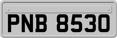 PNB8530