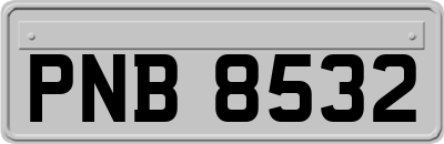 PNB8532