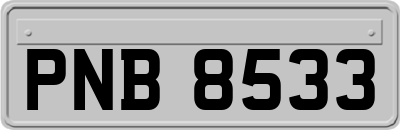 PNB8533