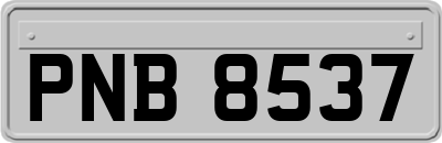PNB8537