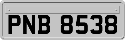 PNB8538