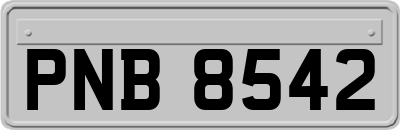 PNB8542