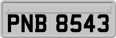 PNB8543