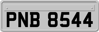 PNB8544