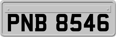 PNB8546