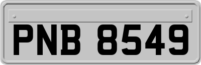 PNB8549
