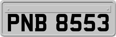 PNB8553
