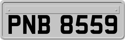 PNB8559