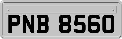 PNB8560