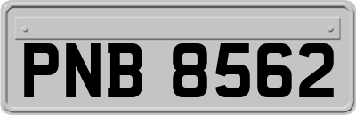 PNB8562