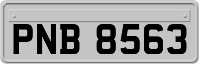 PNB8563