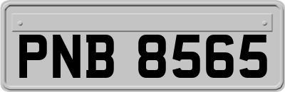 PNB8565
