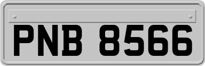 PNB8566
