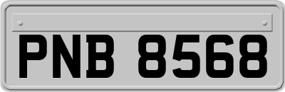 PNB8568