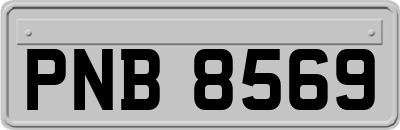 PNB8569