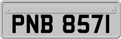 PNB8571