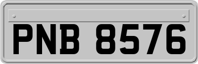 PNB8576