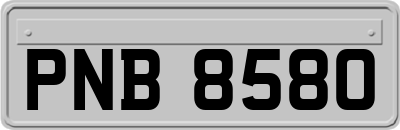 PNB8580