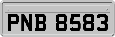 PNB8583