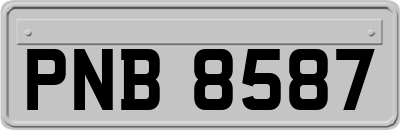 PNB8587