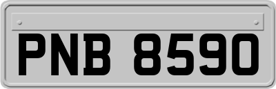 PNB8590