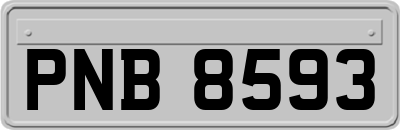 PNB8593
