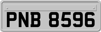 PNB8596