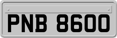 PNB8600