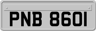 PNB8601