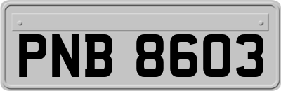 PNB8603