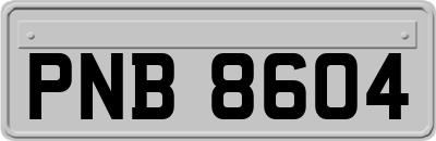 PNB8604